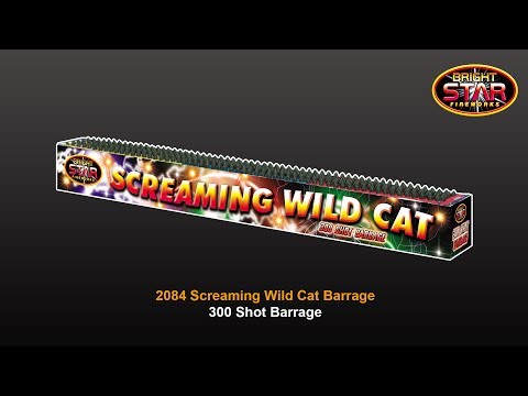 Screaming Wildcat 300 Shot Barrage